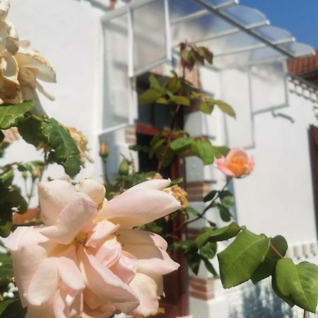 Au Coin Fleuri Villa La Bernerie-en-Retz Exteriör bild